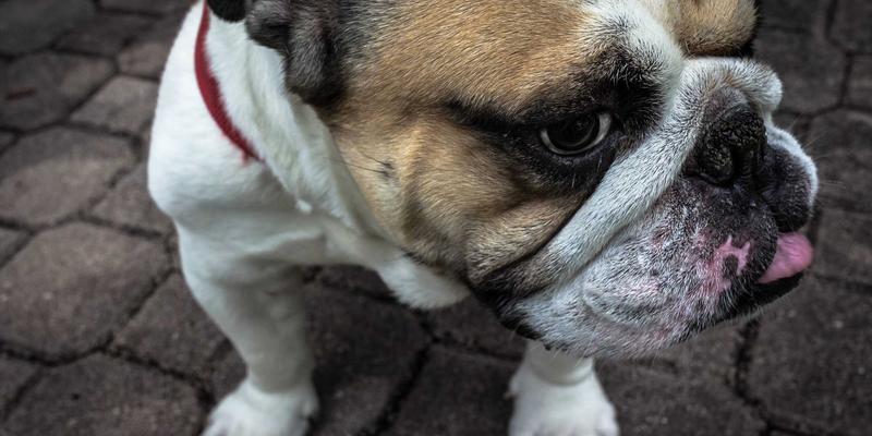 专业商务咨询：如何通过卓越的商业计划书与融资路演材料，在中国企业名录中脱颖而出并成功对接资本