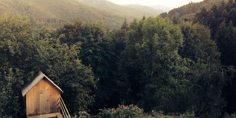 从企业黄页到智能商业对接:解读中国企业名录的数字化转型与未来趋势