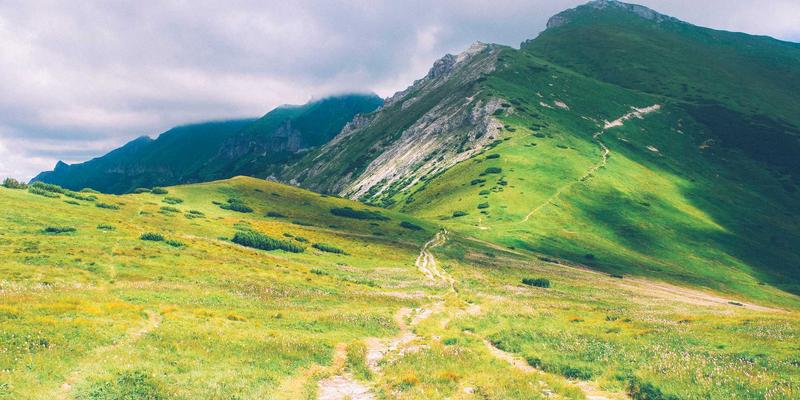 企业黄页、市场推广与商务咨询：三位一体的现代商务服务解决方案