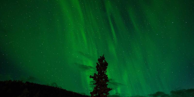 企业黄页、市场推广与商务咨询：构建三位一体的现代商务服务生态