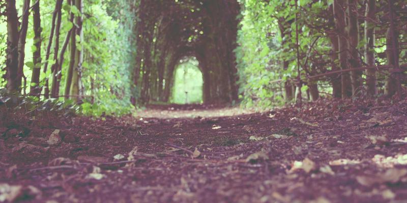 供应链金融创新：商务服务如何通过商业对接与中国企业名录盘活应收账款与库存