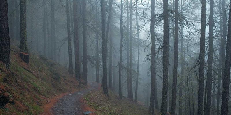 供应链金融创新如何赋能中小企业：破解融资难题，升级商业对接、市场推广与商务咨询服务