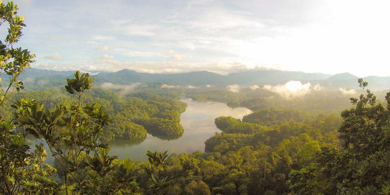 供应链金融创新服务：借助中国企业名录与商务咨询，破解中小企业营运资金困局