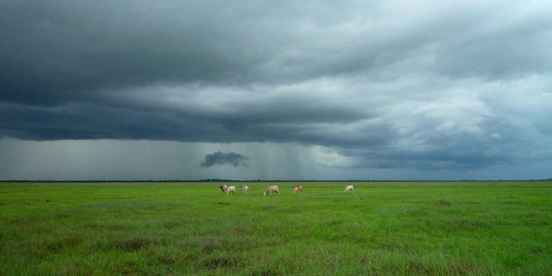 商务服务32：专业商务咨询与高效商业对接的整合之道