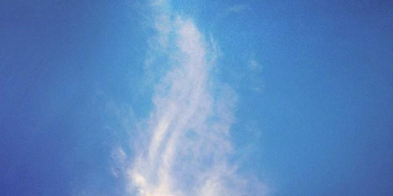 商务服务99：解锁企业增长新动能，从精准咨询与资源对接开始