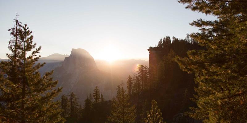 驾驭不确定性：企业战略规划中的情景分析与韧性构建 | 商务服务深度解读