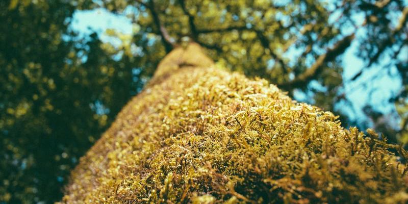 高端商务礼仪培训：塑造专业形象与提升客户信任度的关键策略